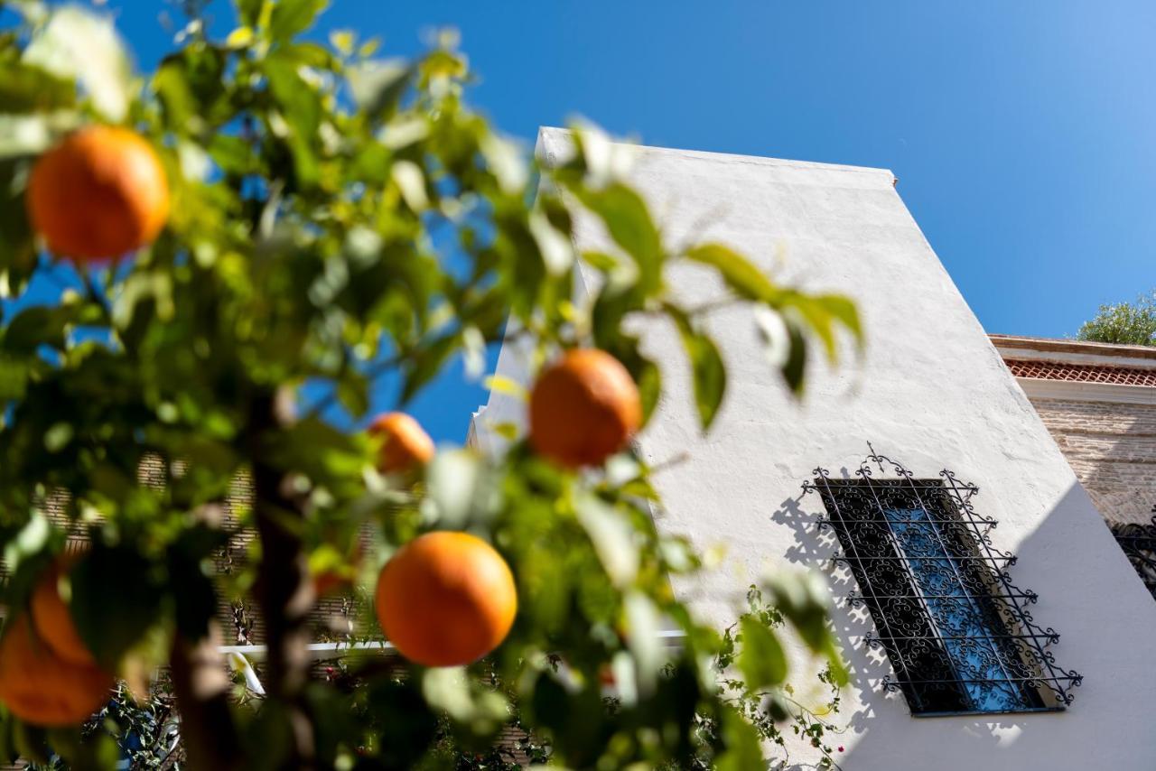 Pajaro Rebelde Bed and Breakfast Sevilla Eksteriør billede